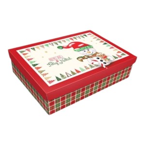 CAIXA RETANGULAR NT41